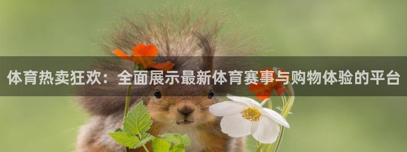 jytv鲸鱼体育：体育热卖狂欢：全面展示最新体育赛事与购物体验的平台
