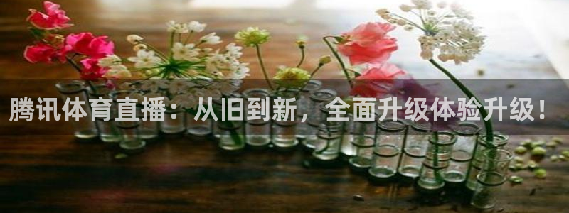 鲸鱼tv：腾讯体育直播：从旧到新，全面升级体验升级！