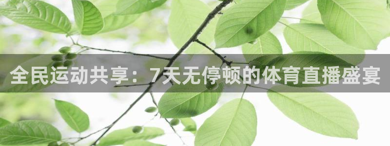 鲸鱼体育tv送红红单v3.红单足球.top：全民运动共享：7天无停顿的体育直播盛宴