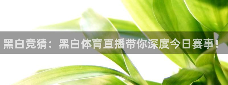 cc67tv鲸鱼体育：黑白竞猜：黑白体育直播带你深度今日赛事！