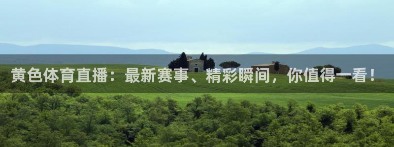 鲸鱼体育在线直播免费：黄色体育直播：最新赛事、精彩瞬间，你值得一看！