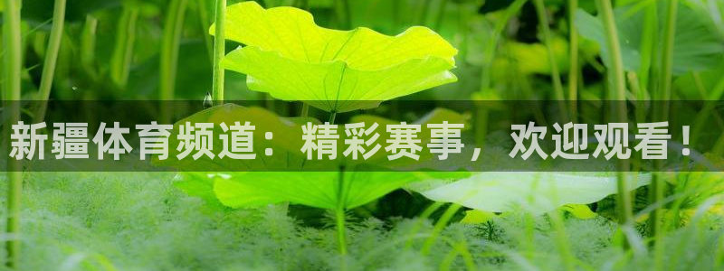 鲸鱼体育tv.点击查看进入.top：新疆体育频道：精彩赛事，欢迎观看！