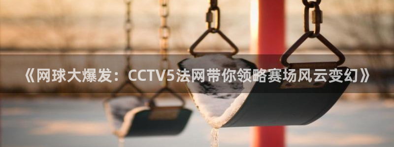 鲸鱼足球体育直播：《网球大爆发：CCTV5法网带你领略赛场风云变幻》