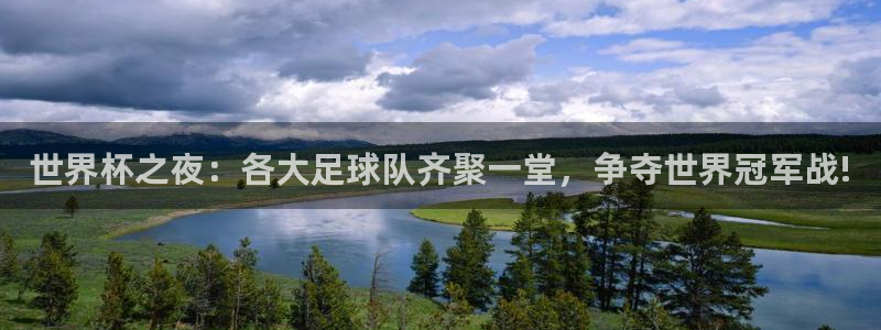 鲸鱼体育网址：世界杯之夜：各大足球队齐聚一堂，争夺世界冠军战!